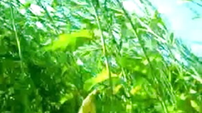 शरारती किशोर एक दूसरे को पेशाब करने एक्स एक्स एक्स एक्स एचडी मूवी के लिए प्यार करता हूँ